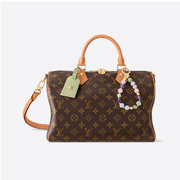 ルイ・ヴィトン ハンドバッグ M15107